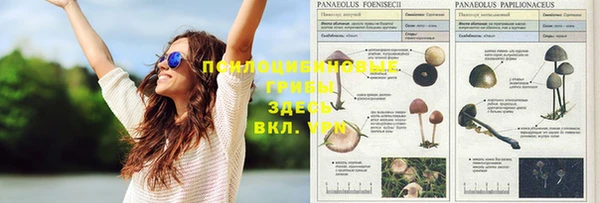 кристаллы Куйбышев