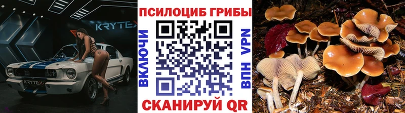Купить  Сорочинск  Галлюциногенные грибы Magic Shrooms 